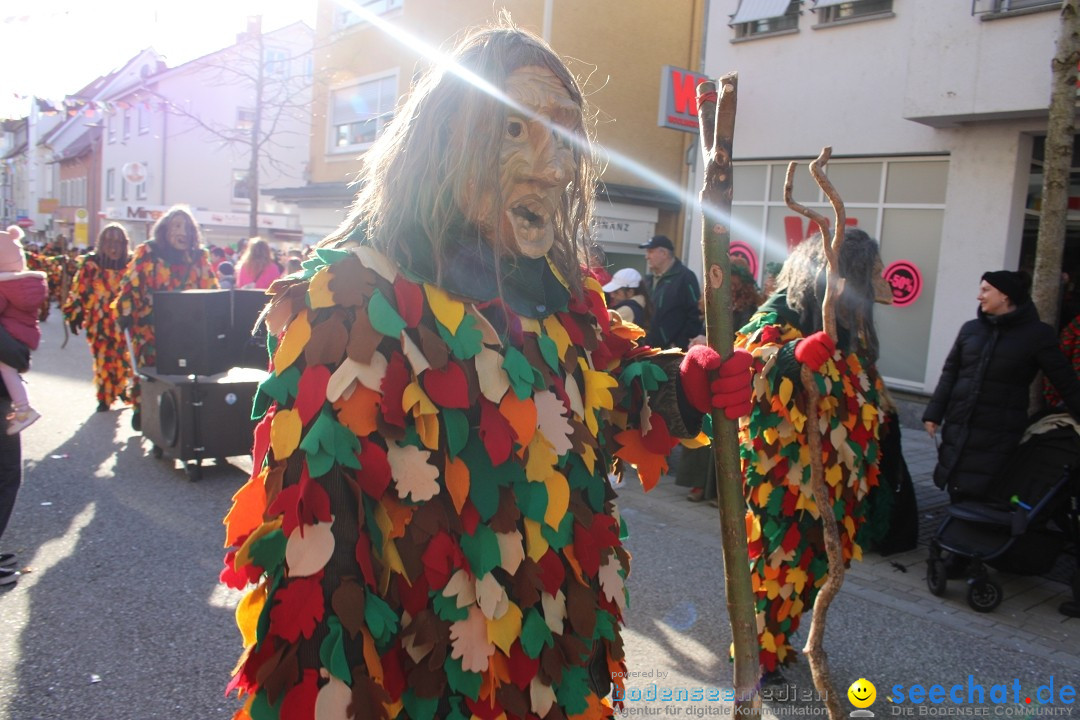 Fasnetsumzug: Tettnang am Bodensee, 13.02.2024