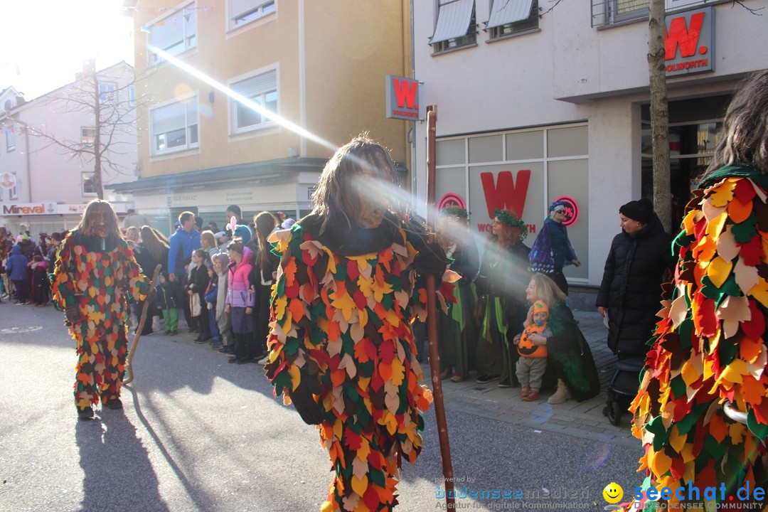 Fasnetsumzug: Tettnang am Bodensee, 13.02.2024