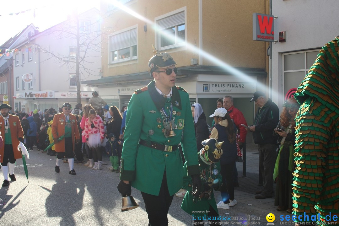 Fasnetsumzug: Tettnang am Bodensee, 13.02.2024