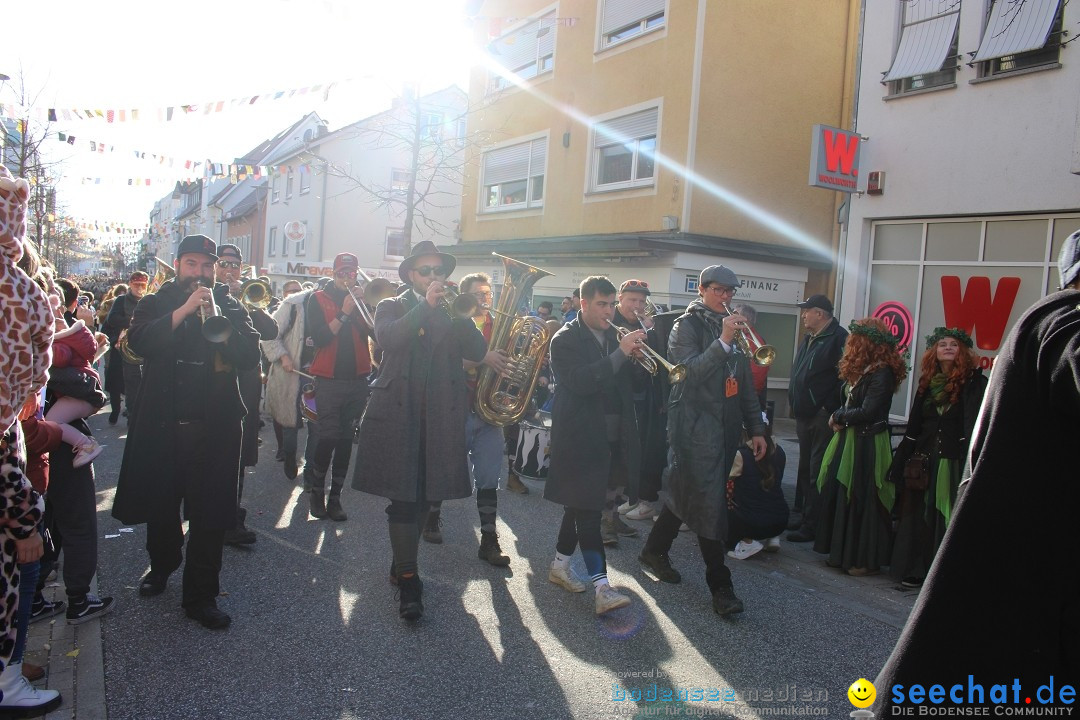 Fasnetsumzug: Tettnang am Bodensee, 13.02.2024