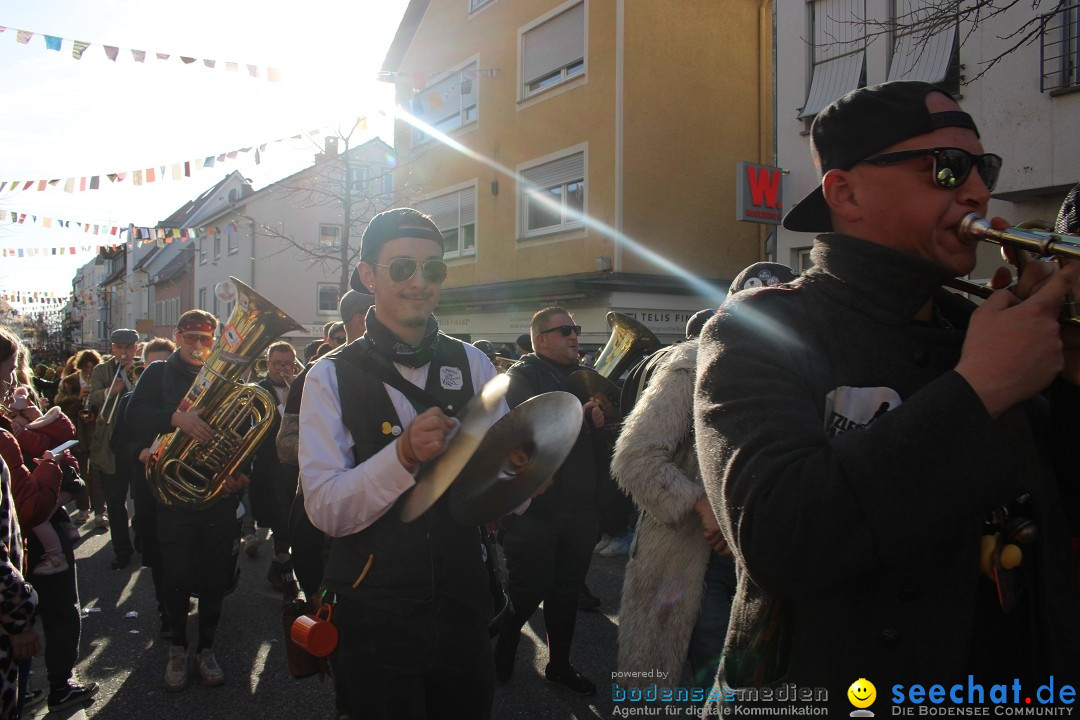 Fasnetsumzug: Tettnang am Bodensee, 13.02.2024