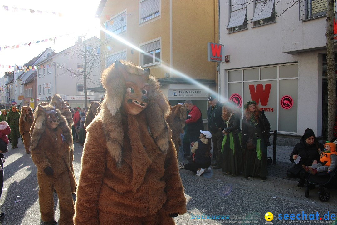 Fasnetsumzug: Tettnang am Bodensee, 13.02.2024