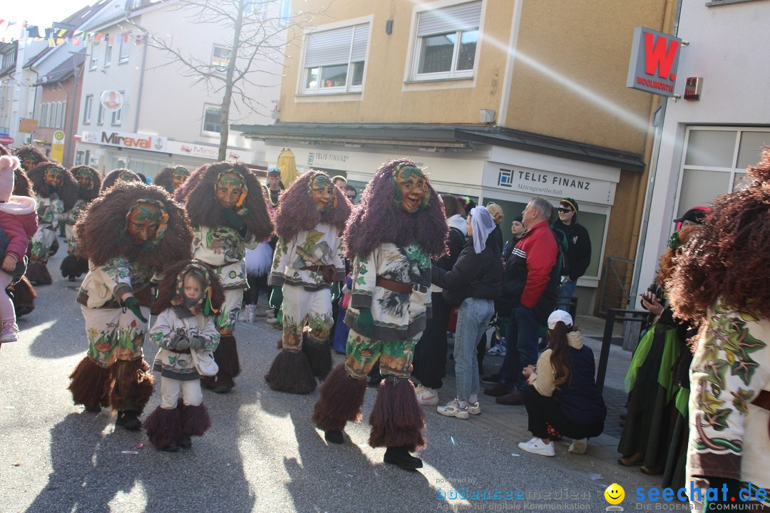 Fasnetsumzug: Tettnang am Bodensee, 13.02.2024