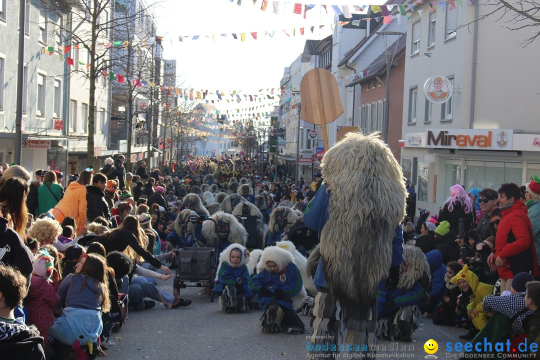 Fasnetsumzug: Tettnang am Bodensee, 13.02.2024