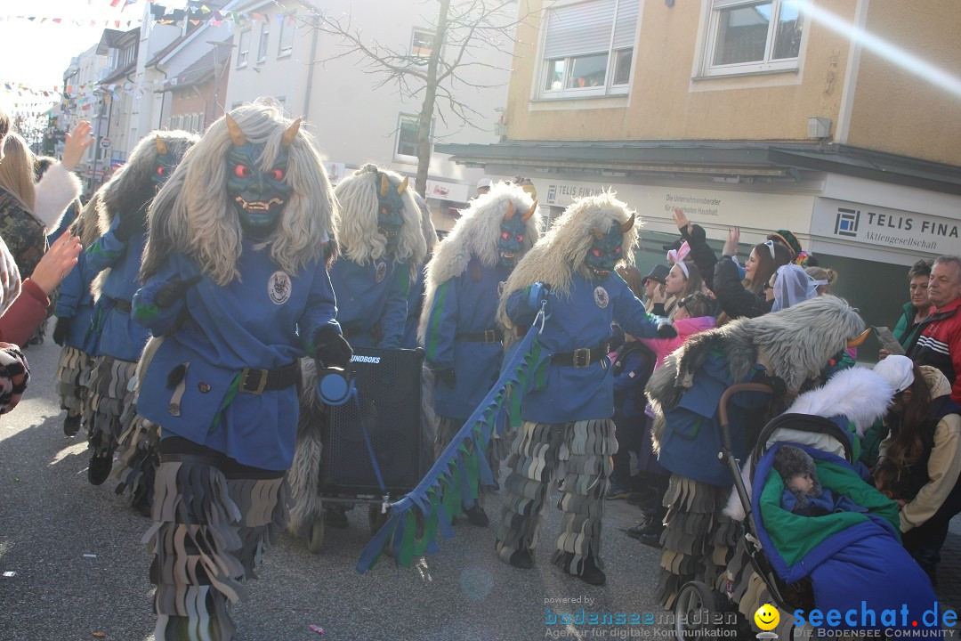 Fasnetsumzug: Tettnang am Bodensee, 13.02.2024