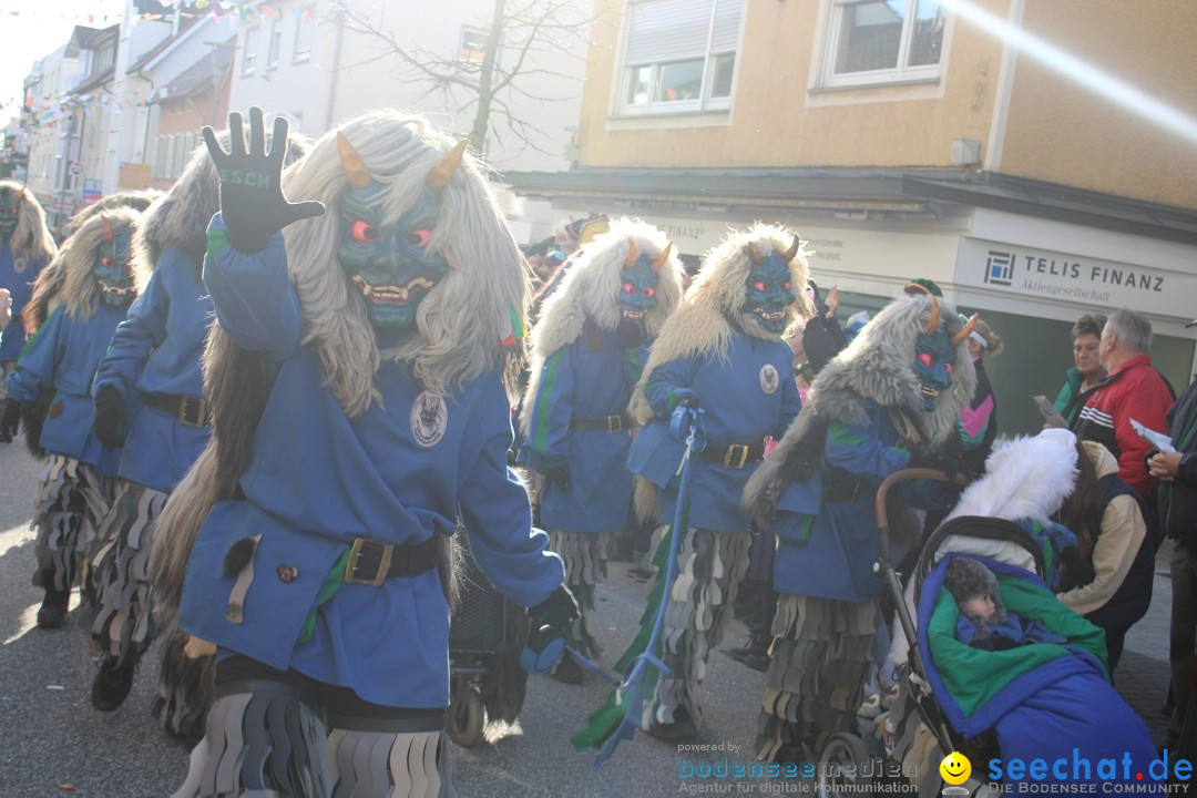 Fasnetsumzug: Tettnang am Bodensee, 13.02.2024