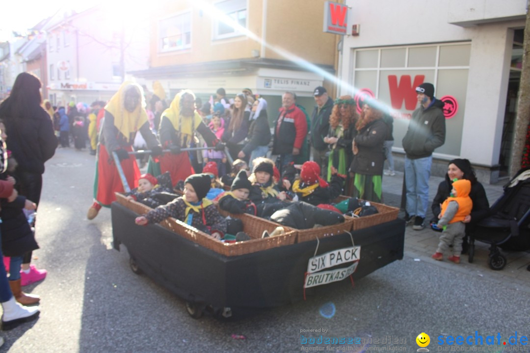 Fasnetsumzug: Tettnang am Bodensee, 13.02.2024