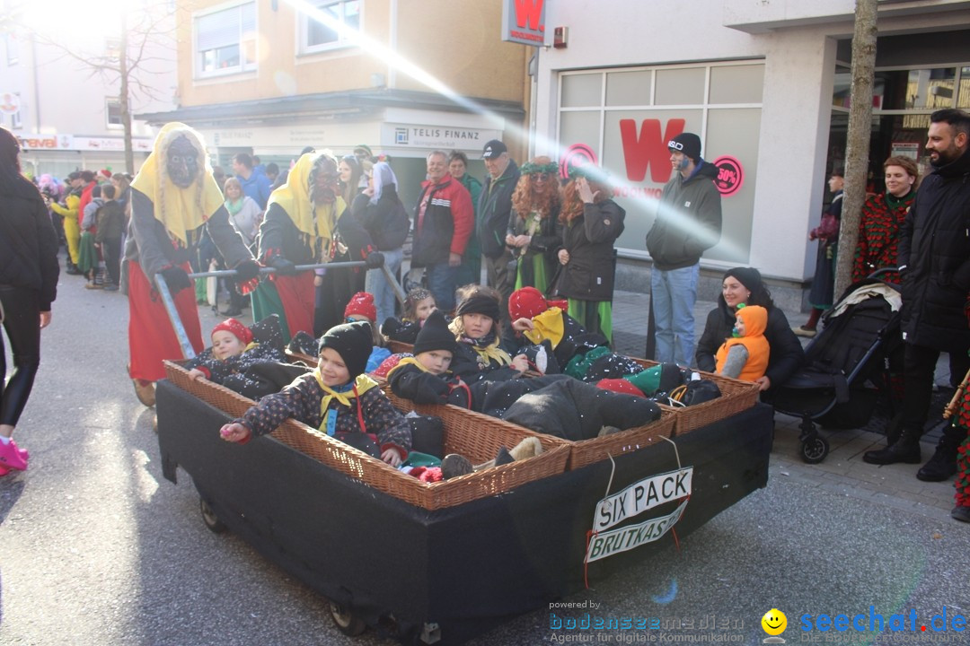 Fasnetsumzug: Tettnang am Bodensee, 13.02.2024