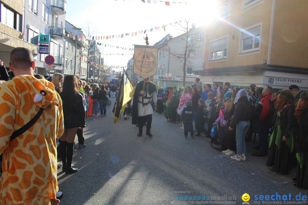 Fasnetsumzug: Tettnang am Bodensee, 13.02.2024