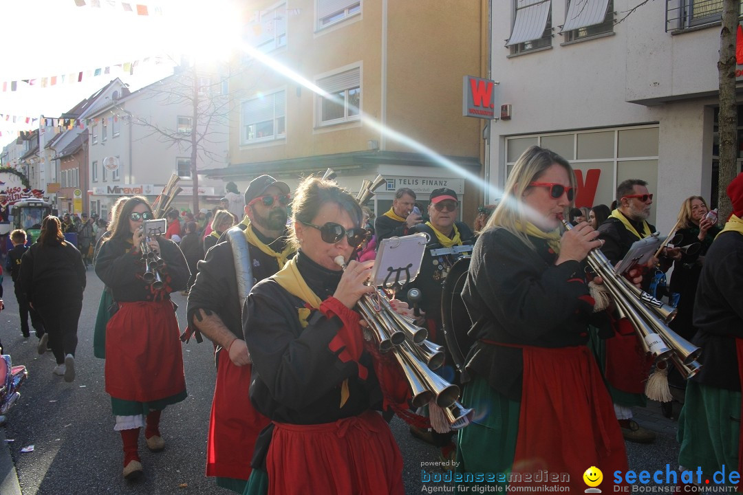 Fasnetsumzug: Tettnang am Bodensee, 13.02.2024