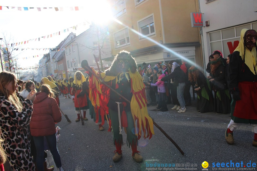 Fasnetsumzug: Tettnang am Bodensee, 13.02.2024