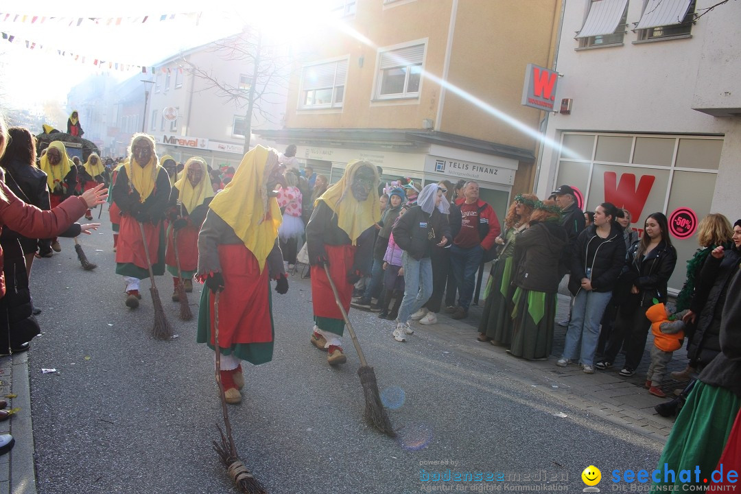 Fasnetsumzug: Tettnang am Bodensee, 13.02.2024