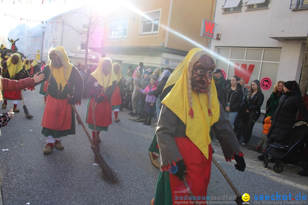 Fasnetsumzug: Tettnang am Bodensee, 13.02.2024