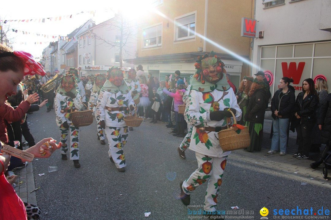 Fasnetsumzug: Tettnang am Bodensee, 13.02.2024