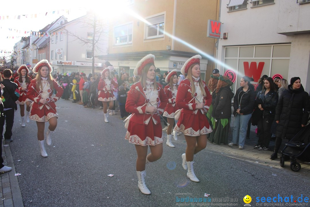 Fasnetsumzug: Tettnang am Bodensee, 13.02.2024