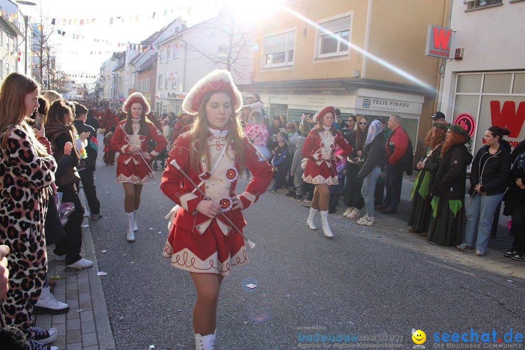 Fasnetsumzug: Tettnang am Bodensee, 13.02.2024