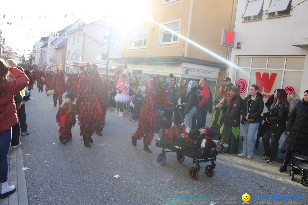 Fasnetsumzug: Tettnang am Bodensee, 13.02.2024