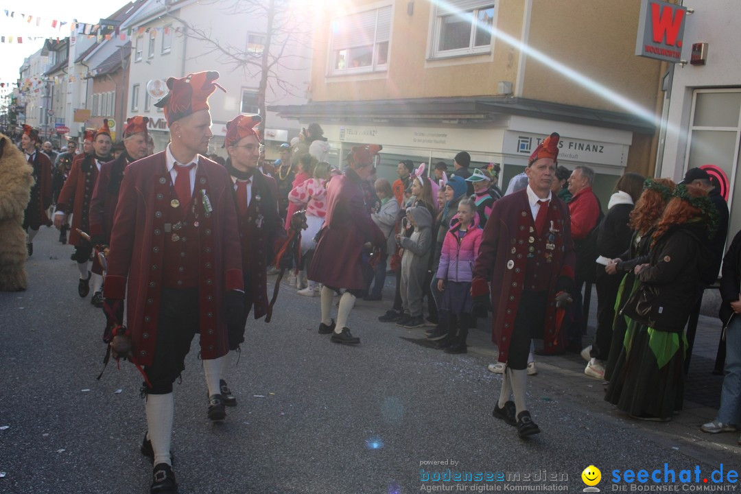 Fasnetsumzug: Tettnang am Bodensee, 13.02.2024