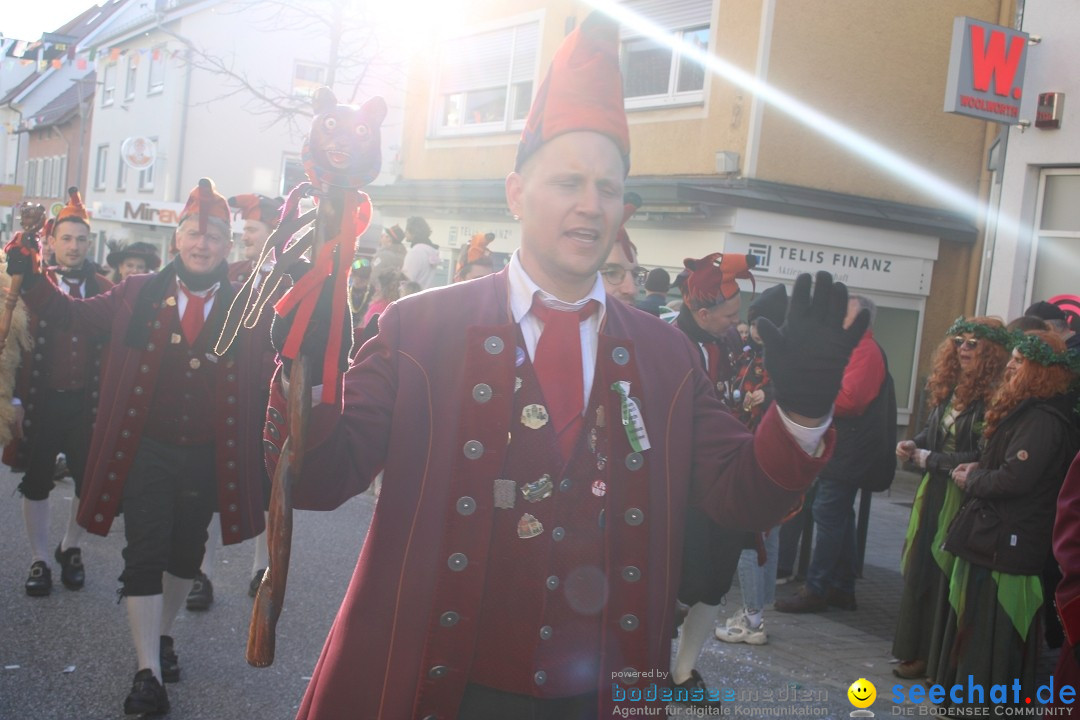 Fasnetsumzug: Tettnang am Bodensee, 13.02.2024