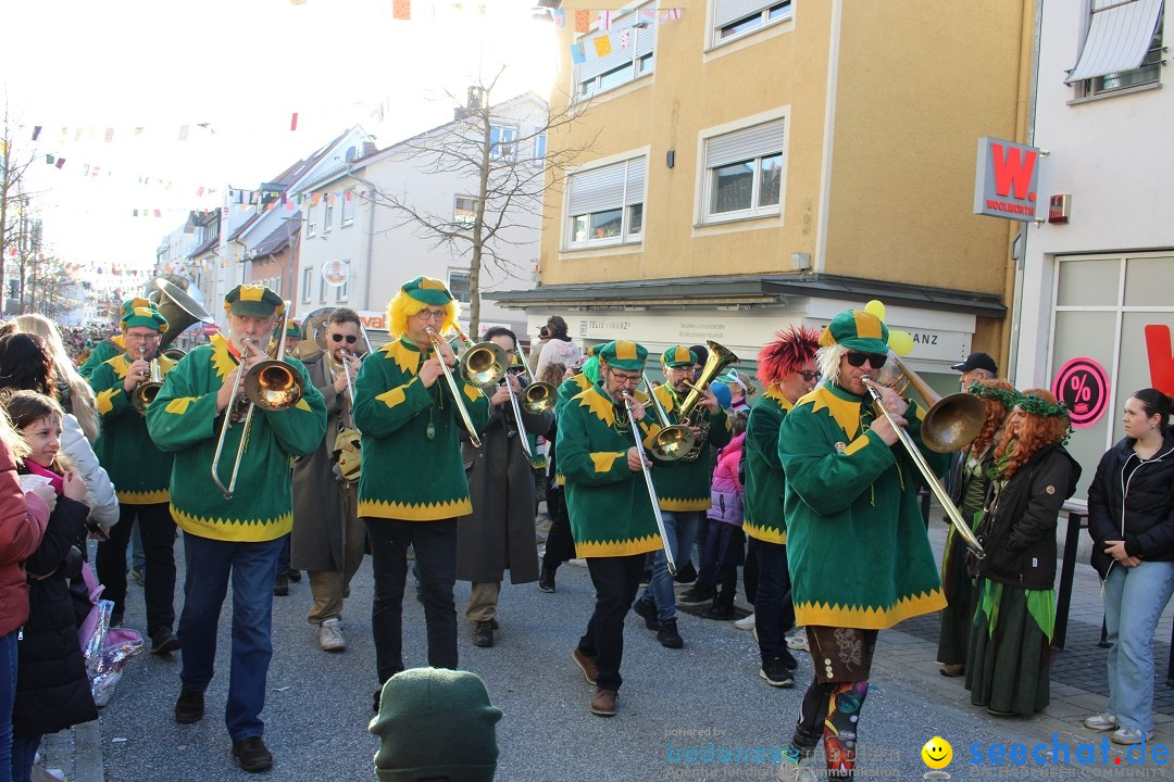 Fasnetsumzug: Tettnang am Bodensee, 13.02.2024