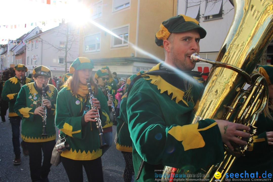 Fasnetsumzug: Tettnang am Bodensee, 13.02.2024