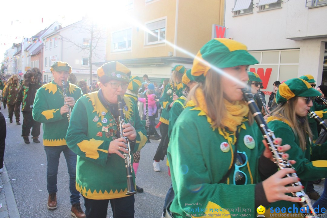 Fasnetsumzug: Tettnang am Bodensee, 13.02.2024