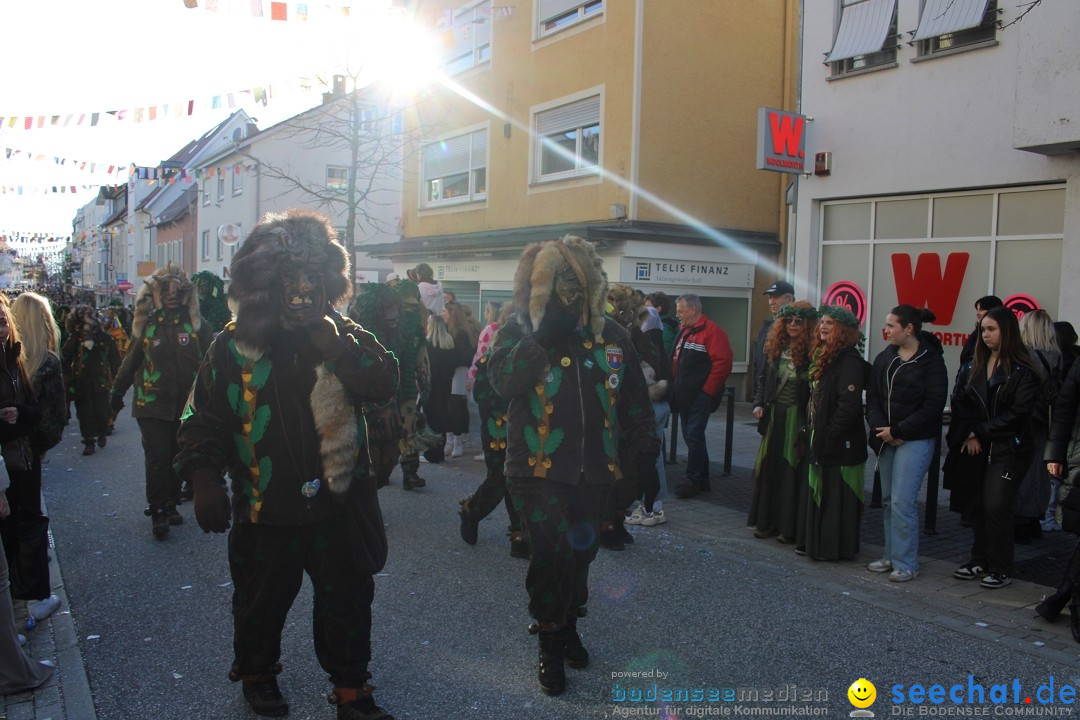 Fasnetsumzug: Tettnang am Bodensee, 13.02.2024