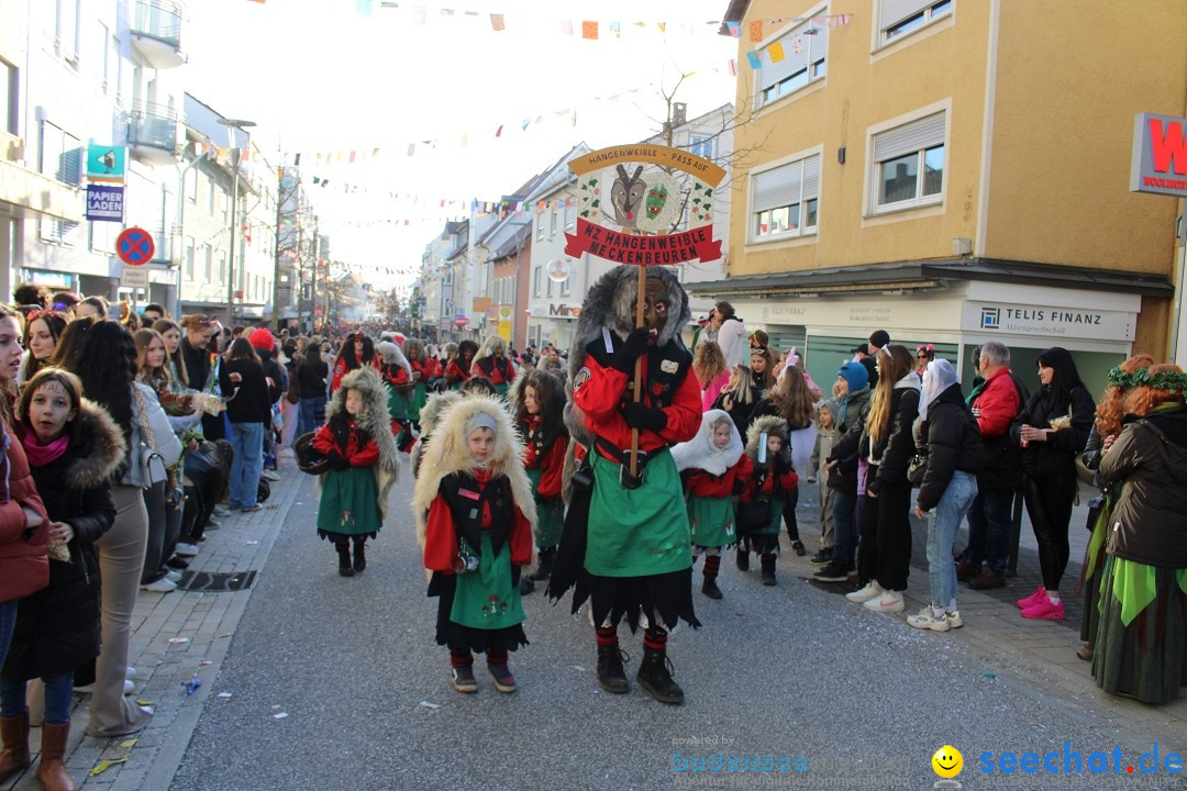 Fasnetsumzug: Tettnang am Bodensee, 13.02.2024