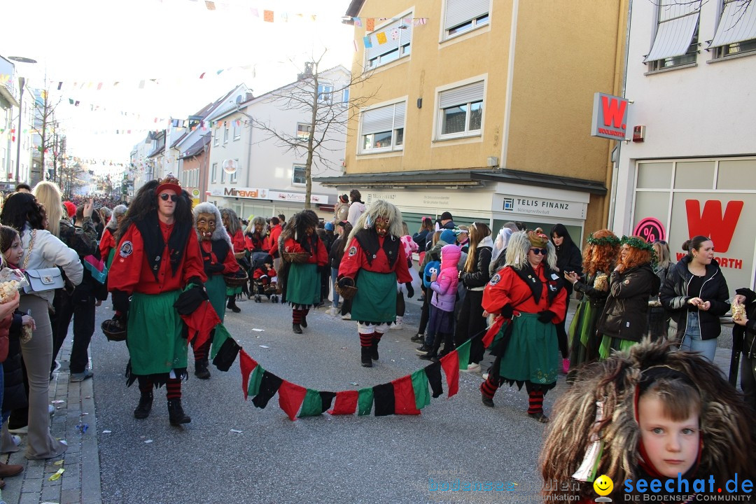 Fasnetsumzug: Tettnang am Bodensee, 13.02.2024