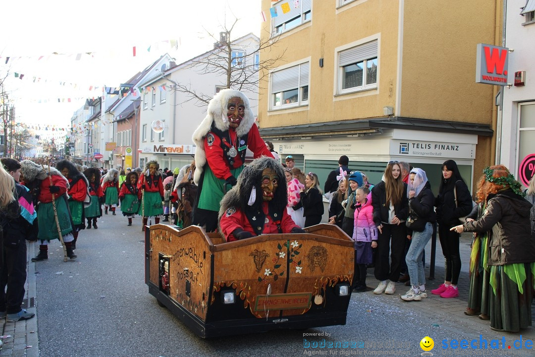 Fasnetsumzug: Tettnang am Bodensee, 13.02.2024