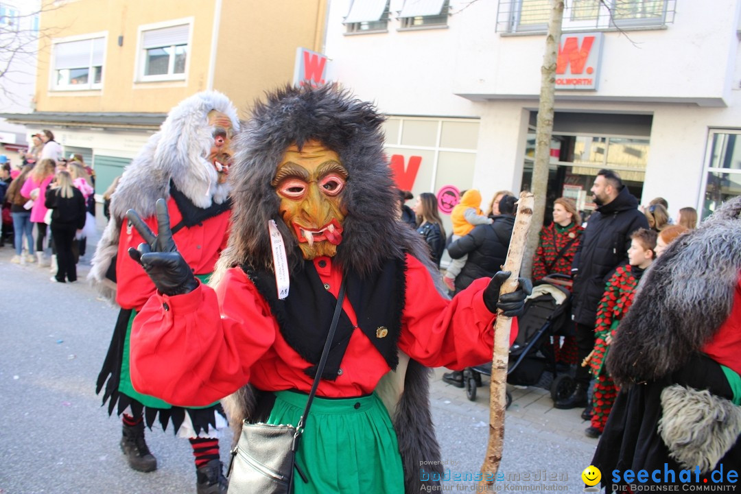 Fasnetsumzug: Tettnang am Bodensee, 13.02.2024