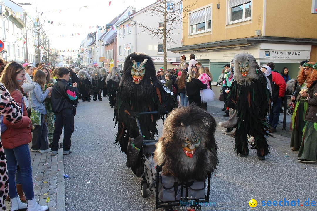 Fasnetsumzug: Tettnang am Bodensee, 13.02.2024