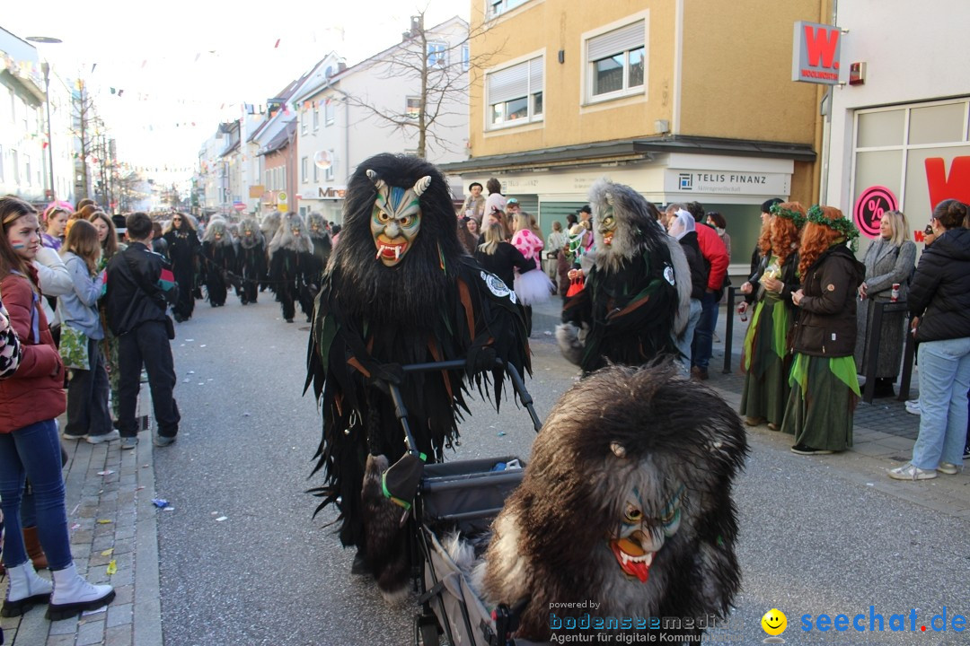 Fasnetsumzug: Tettnang am Bodensee, 13.02.2024