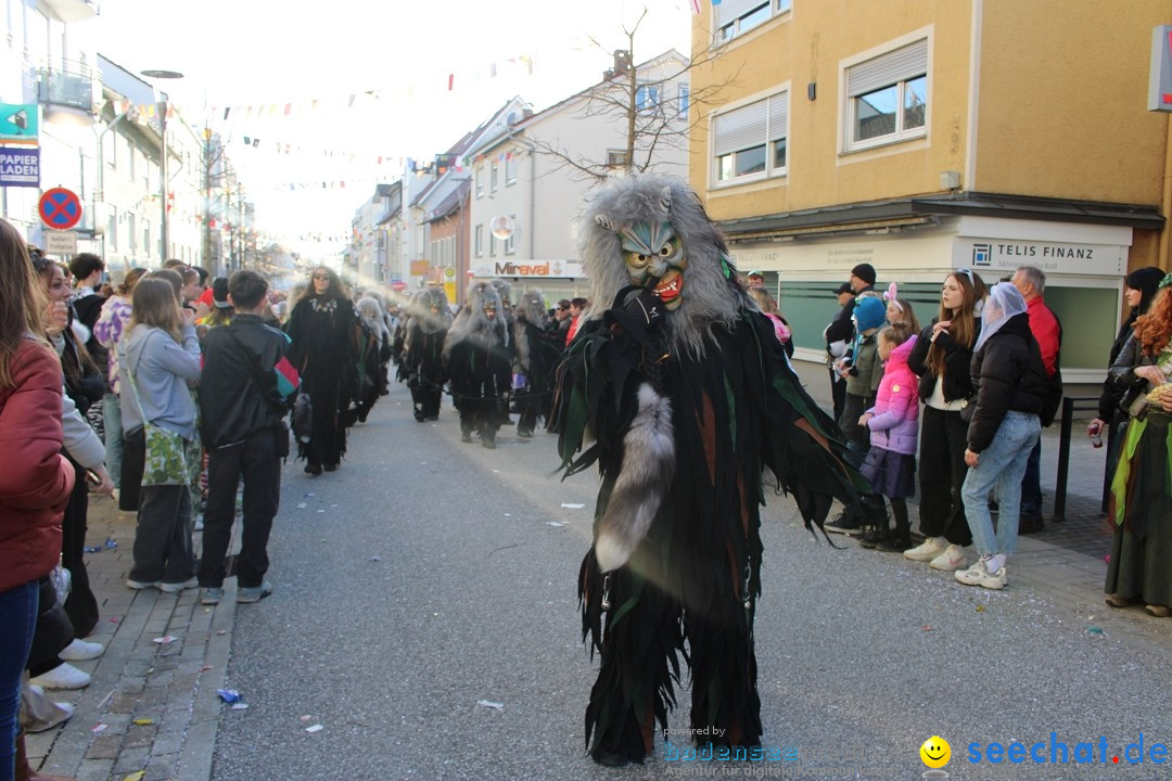 Fasnetsumzug: Tettnang am Bodensee, 13.02.2024