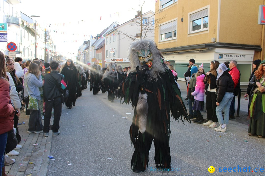 Fasnetsumzug: Tettnang am Bodensee, 13.02.2024