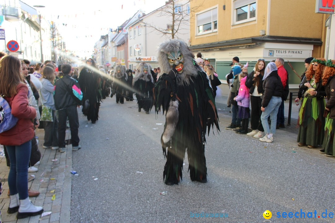 Fasnetsumzug: Tettnang am Bodensee, 13.02.2024