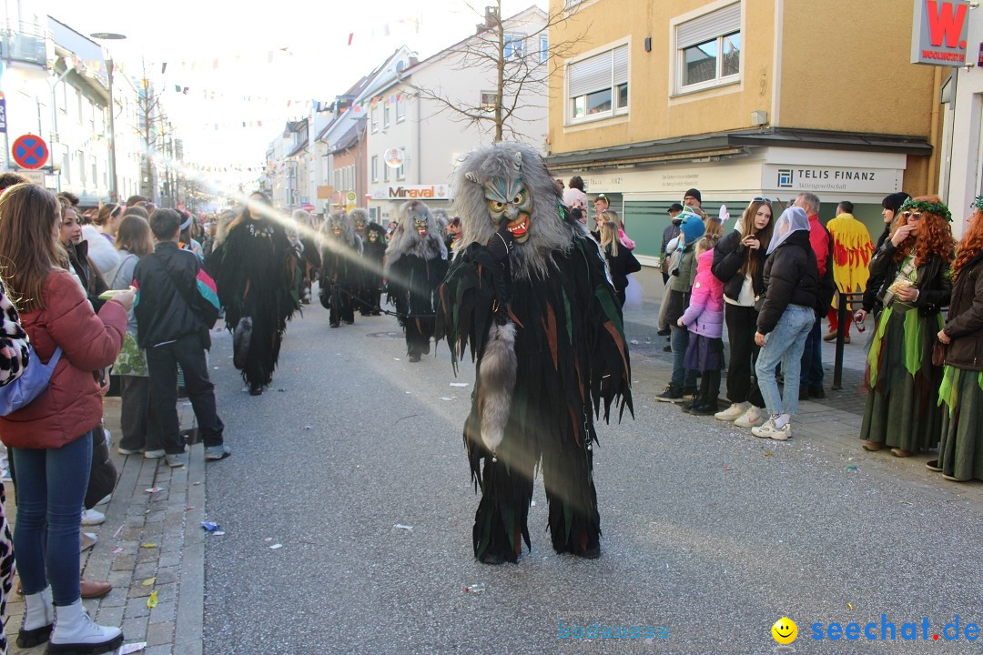 Fasnetsumzug: Tettnang am Bodensee, 13.02.2024