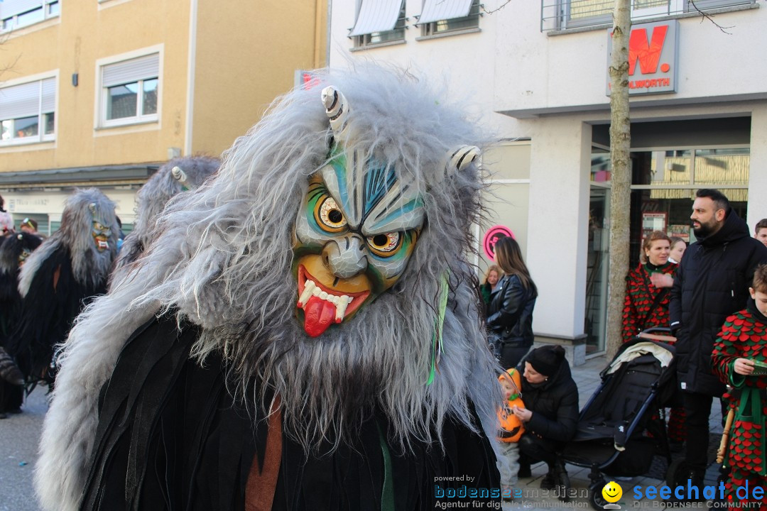 Fasnetsumzug: Tettnang am Bodensee, 13.02.2024