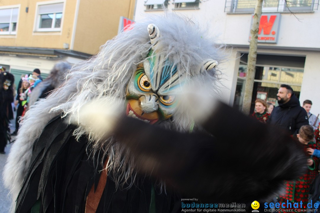 Fasnetsumzug: Tettnang am Bodensee, 13.02.2024