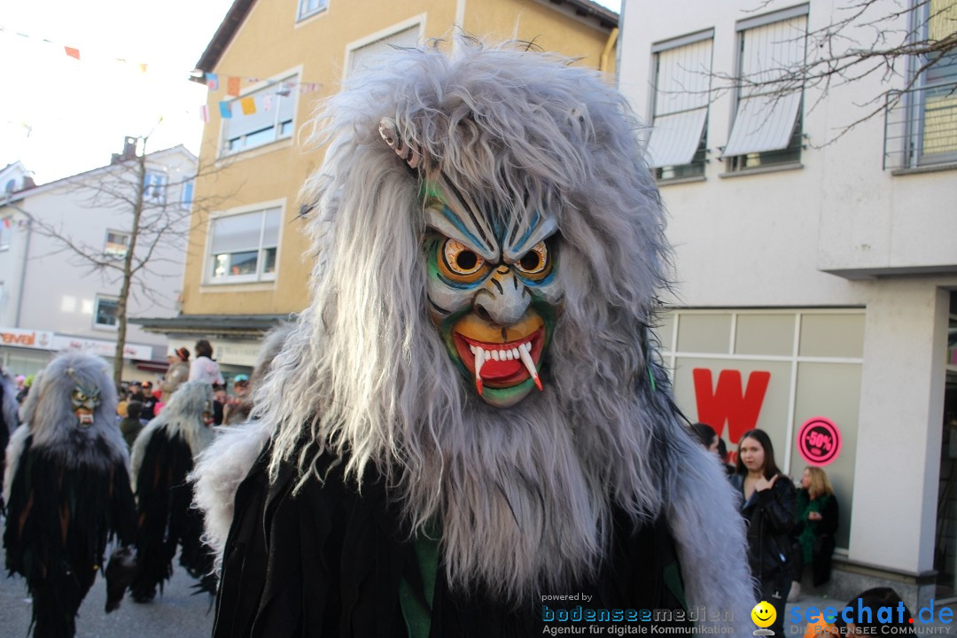 Fasnetsumzug: Tettnang am Bodensee, 13.02.2024