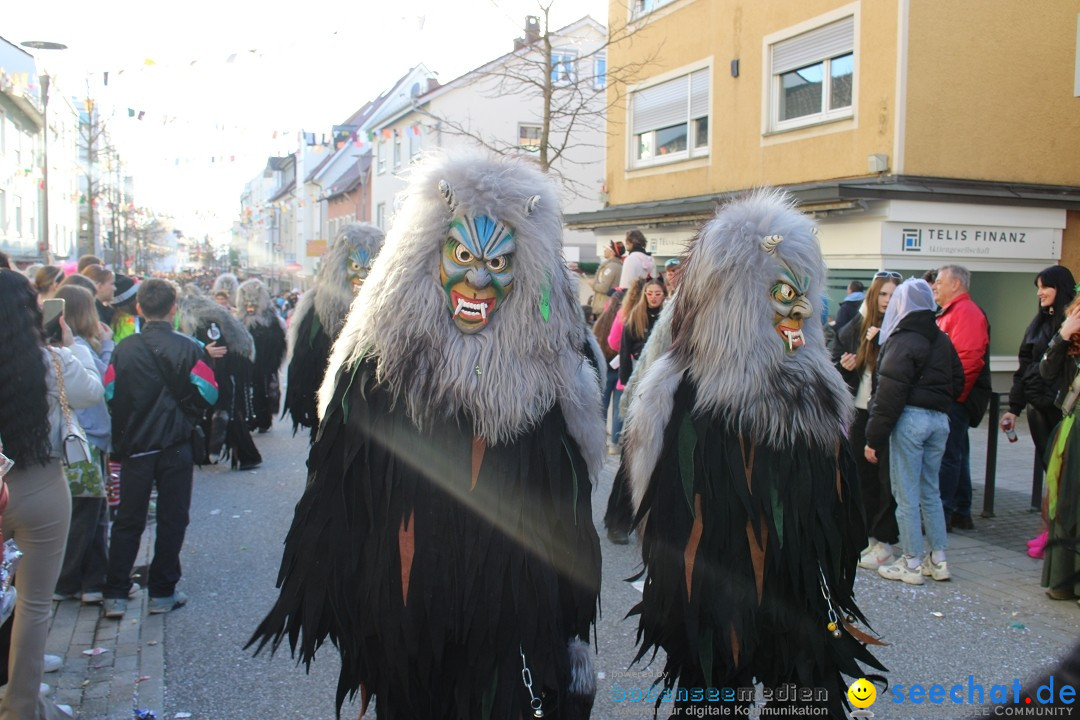 Fasnetsumzug: Tettnang am Bodensee, 13.02.2024