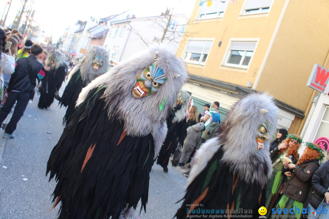 Fasnetsumzug: Tettnang am Bodensee, 13.02.2024