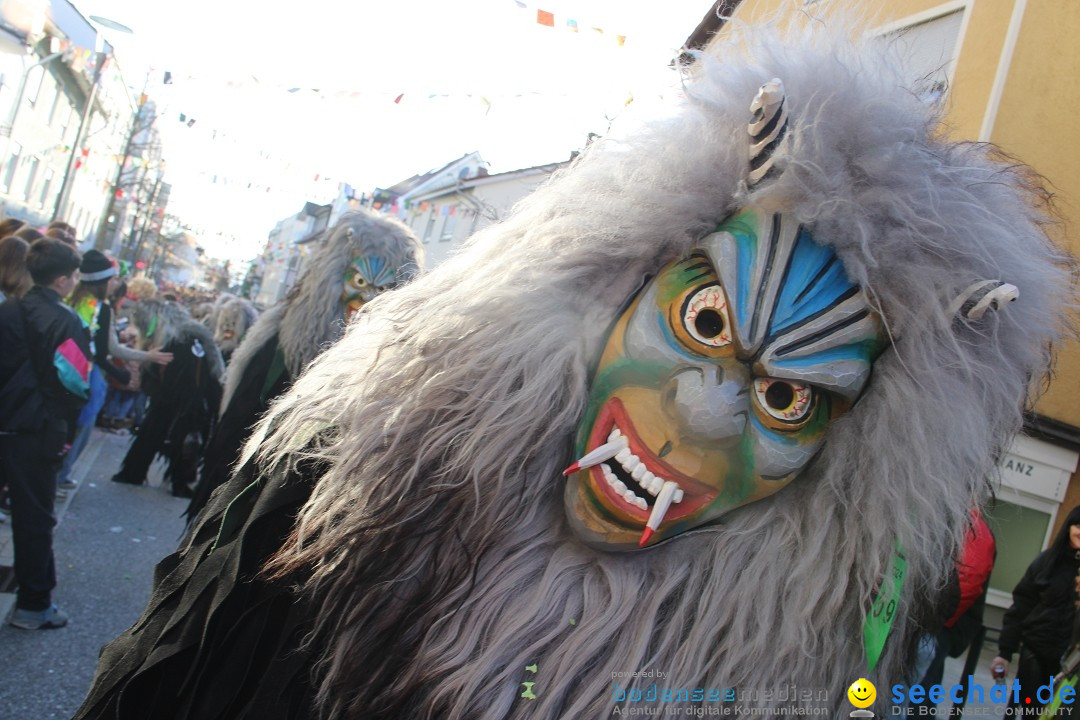 Fasnetsumzug: Tettnang am Bodensee, 13.02.2024