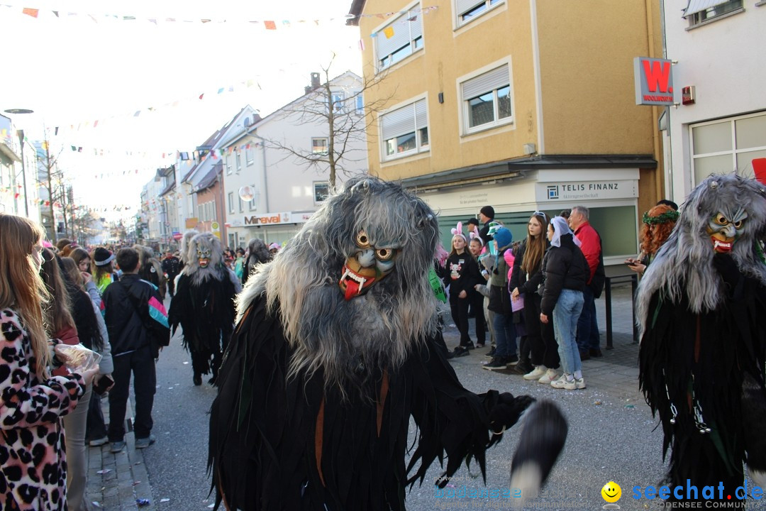 Fasnetsumzug: Tettnang am Bodensee, 13.02.2024