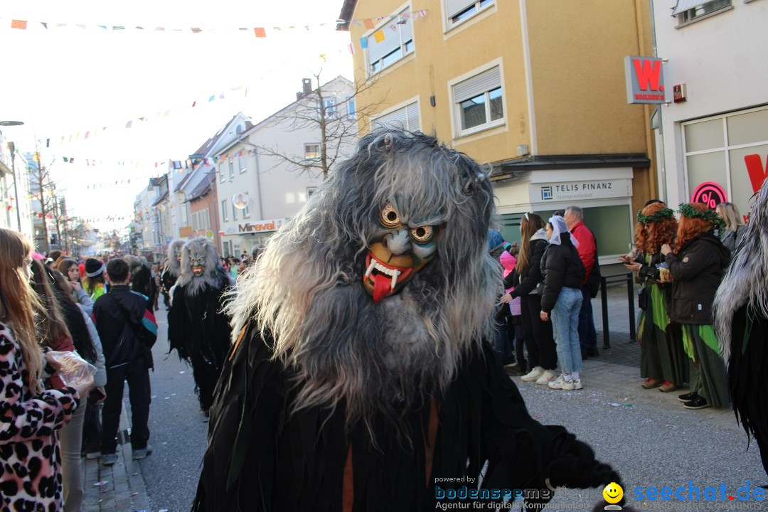 Fasnetsumzug: Tettnang am Bodensee, 13.02.2024