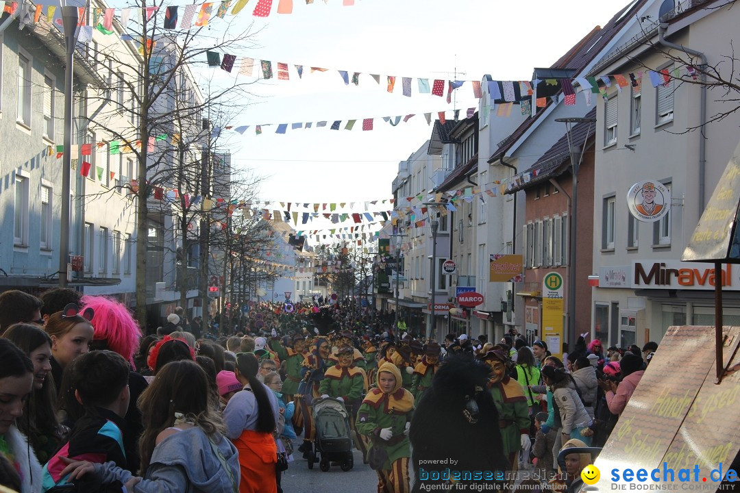 Fasnetsumzug: Tettnang am Bodensee, 13.02.2024