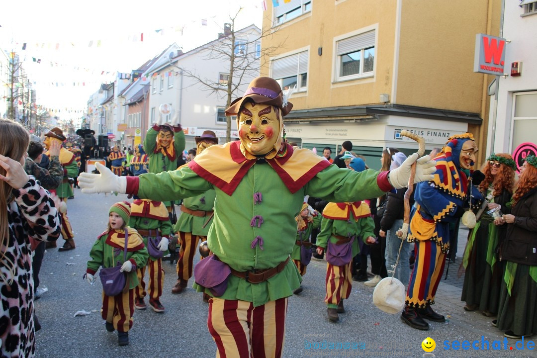 Fasnetsumzug: Tettnang am Bodensee, 13.02.2024