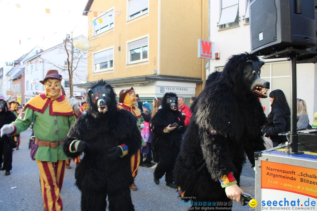 Fasnetsumzug: Tettnang am Bodensee, 13.02.2024