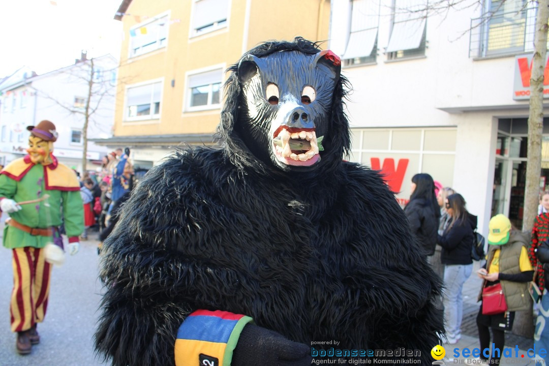 Fasnetsumzug: Tettnang am Bodensee, 13.02.2024