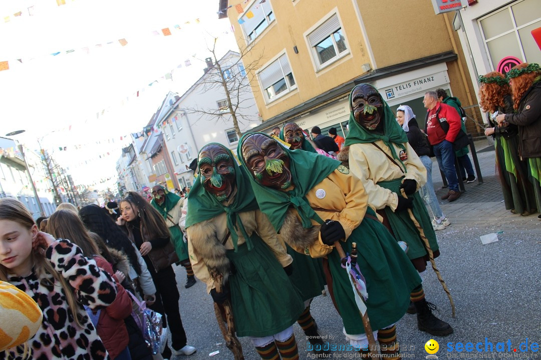 Fasnetsumzug: Tettnang am Bodensee, 13.02.2024